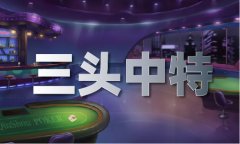 澳门正版佛免费体验服下载V
