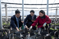 <b>不误农时不负春 邮储银行帮力农业出产开新局</b>