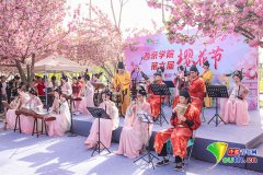 西京学院：打制樱花树下的思政育人讲堂